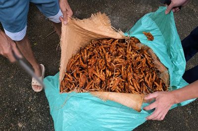 Phát hiện 2,6 tấn chân gà không rõ nguồn gốc ở Quảng Ninh