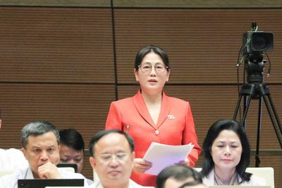 Tăng cường giám sát chất lượng giải quyết vụ việc, bảo vệ quyền và lợi ích hợp pháp của Nhà nước, tổ chức, cá nhân