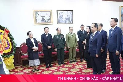 Đoàn đại biểu Hà Tĩnh viếng Chủ tịch Quốc hội Lào Saysomphone Phomvihane
