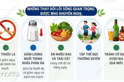 Cách phòng ngừa và kiểm soát bệnh tim mạch
