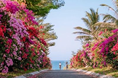 'Ngàn hoa về phố biển'- điểm nhấn của Năm Du lịch quốc gia