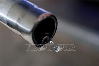 Giá dầu bật tăng 5%