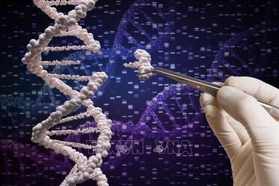 Phương pháp mới phát hiện hàng trăm bệnh di truyền hiếm trước khi triệu chứng xuất hiện