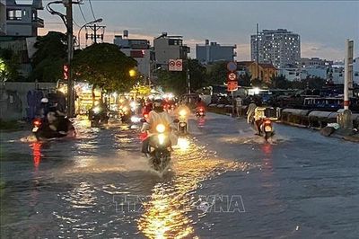 Cảnh báo xuất hiện triều cường ở khu vực ven biển Bắc Bộ và Nam Bộ