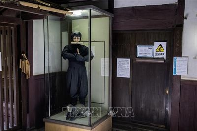 Khám phá thế giới bí mật của những Ninja Nhật Bản
