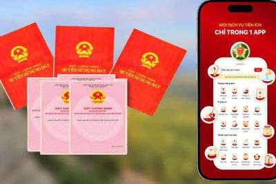 Cách tra cứu giấy chứng nhận quyền sử dụng đất trên VNeID