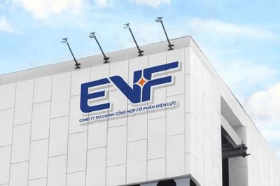 EVF dự kiến chào bán riêng lẻ 85 triệu cổ phiếu, tăng vốn thêm 850 tỷ đồng