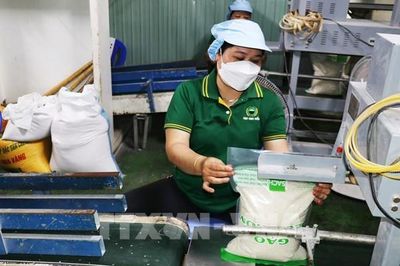 Chuyển đổi số ở Đồng Tháp: Nâng năng lực cạnh tranh cho nông sản