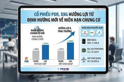 Khuyến nghị cổ phiếu PDR, DXG, BSR, ELC, AST ngày 11/8