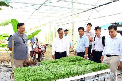 Cởi nút thắt con giống: Vĩnh Long quyết làm chủ vốn quý nông nghiệp