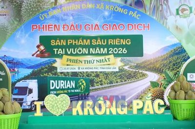 Đấu giá sản phẩm sầu riêng tại vườn: mở ra phương thức tiêu thụ mới