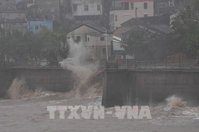 Bắc Kinh khẩn trương ứng phó mưa lớn do bão Dolphin