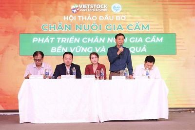 Gia cầm bán rẻ, thức ăn đắt: Người nuôi xoay xở thế nào?