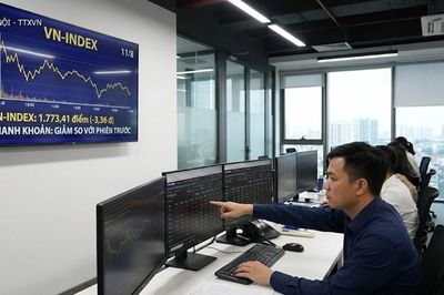 VN-Index ngày 11/8: Giằng co quanh 1.780 điểm, thanh khoản suy giảm