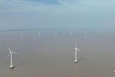 Đồng Tháp xin điều chỉnh đường ra cho dự án điện gió 100 MW