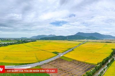 Check in cung đường đẹp như bức tranh giữa vùng Bảy Núi