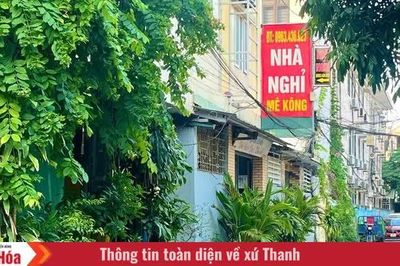 Xanh một góc, chật cả con đường