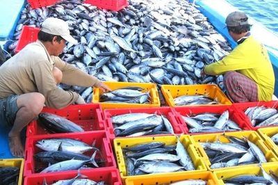 Mục tiêu xuất khẩu nông sản 100 tỷ USD: Nhận diện những 'nút thắt' để xuất khẩu thủy sản về đích