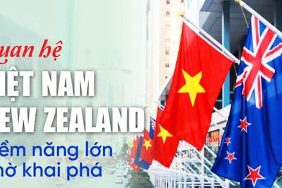 Quan hệ Việt Nam - New Zealand: Tiềm năng lớn chờ khai phá