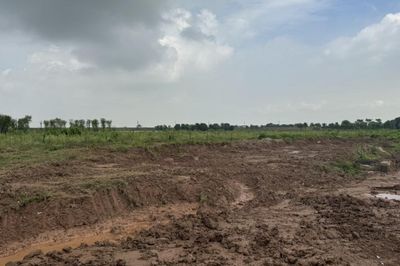 Tạo cơ sở pháp lý đồng bộ, thúc đẩy sử dụng hiệu quả nguồn lực đất đai