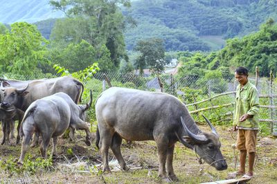 Khơi dậy ý chí vươn lên thoát nghèo