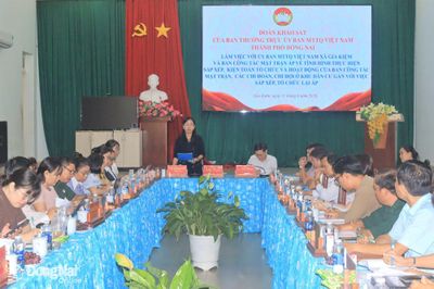 Khảo sát việc sắp xếp, hoạt động của ban công tác mặt trận, chi đoàn, chi hội tại các xã, phường