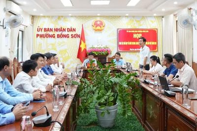 Festival Sinh vật cảnh Bồng Sơn và Bồng Sơn Half Marathon 2026: Cơ hội khám phá những nét đặc sắc của địa phương