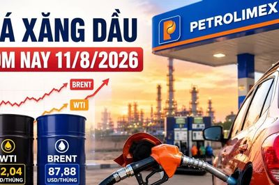 Giá xăng dầu hôm nay 11/8: Dầu thế giới tăng mạnh, Brent gần 88 USD