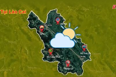 Dự báo thời tiết ngày 11/8