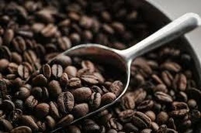 Giá cà phê hôm nay 11/8: Diễn biến trái chiều, robusta tăng nhẹ