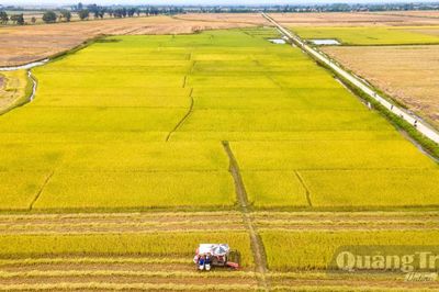 Kỳ vọng từ chính sách hỗ trợ phát triển nông nghiệp bền vững