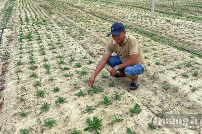 Sáng kiến nông nghiệp-Từ ý tưởng đến hiện thực