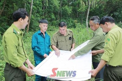 Giữ màu xanh những cánh rừng