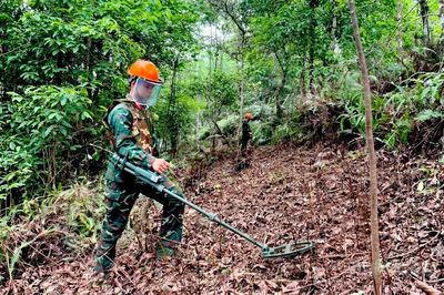 Hồi sinh đất biên thùy