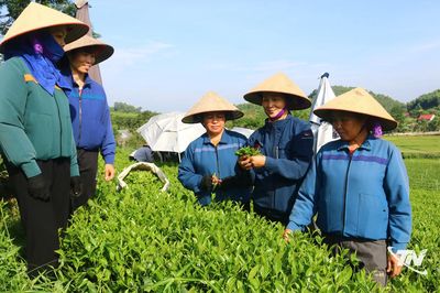 Để mái ấm không có bạo lực