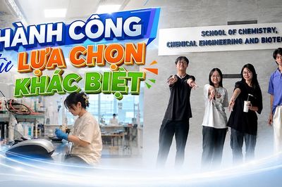 Thành công từ lựa chọn khác biệt của nghiên cứu sinh trẻ tại Singapore