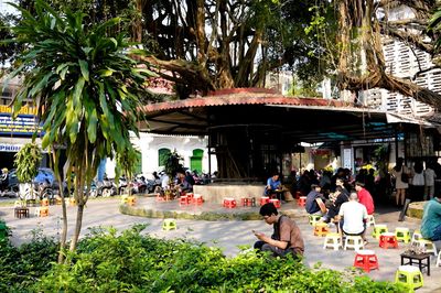 Nửa thế kỷ với cà phê cóc ông Sửu