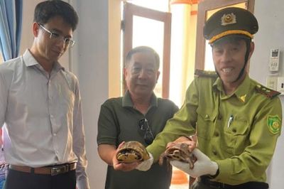 Tiếp nhận động vật hoang dã ở cơ sở: Trách nhiệm lớn, nhưng thiếu điều kiện chăm sóc, nuôi giữ