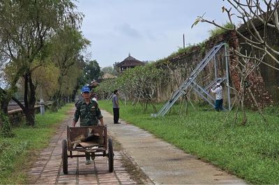 Tường Hoàng thành: Đã đến lúc tu bổ tổng thể
