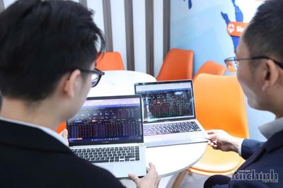 Chứng khoán ngày 11/8: VN-Index giảm nhẹ sau hai phiên tăng