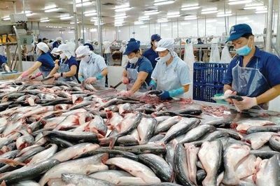 Xuất khẩu thủy sản 7 tháng đạt 6,86 tỷ USD, đà tăng bắt đầu chậm lại