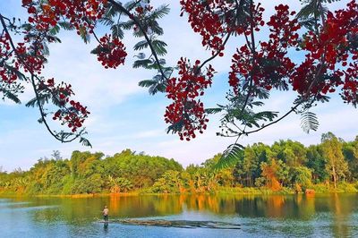 Quy hoạch đô thị nghỉ dưỡng 1.900ha tại Quảng Ngãi: Giải bài toán đánh đổi giữa tăng trưởng và sức tải sinh thái