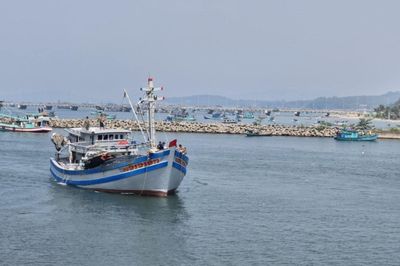 An Giang siết nghề cá, giữ “sức khỏe” biển cho kinh tế dài hạn