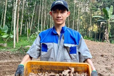 Nông sản xứ Tiên 'lên đời' nhờ HTX và văn hóa đổi mới sáng tạo