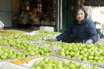 Nhãn hiệu tập thể là bệ phóng cho HTX