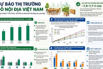 Thị trường nội địa - trụ cột chiến lược mới của ngành gỗ Việt Nam