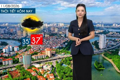 Dự báo thời tiết tối | 11/08/2026