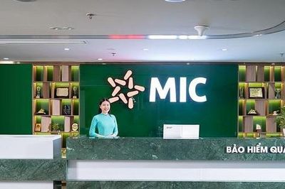 Bảo hiểm Quân đội (MIG) báo lãi bán niên tăng trưởng, chi trả hơn 211 tỷ đồng cổ tức bằng tiền mặt