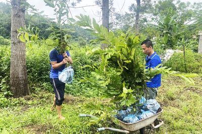 Biến tiềm năng rừng thành động lực phát triển kinh tế bền vững