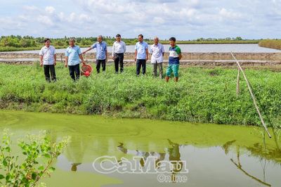 Cụ thể hoá nghị quyết từ những việc trọng tâm, sát thực tiễn